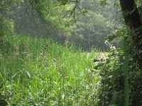 7500 Grijze Steen - Neterselse Heide 069 Meer GPS wandelingen kunt u vinden op  www.gpswalking.nl